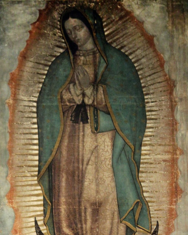 The image of Our Lady of Guadalupe